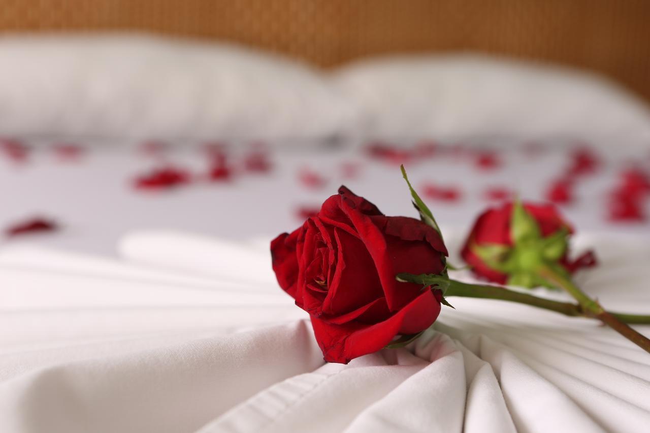 Hotel Anamichu Suites Мельгар Екстер'єр фото
